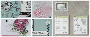 Petal Palette & March Studio Stamps in the Mail