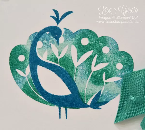 Video tutorial to create a two-toned image using the Beautiful Peacock by Stampin' Up!
