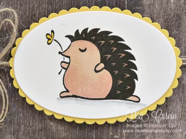 Video tutorial! This hedgehog defies the rules by using dye-based ink with Stampin' Blends. Lisa's Stamp Studio close up view