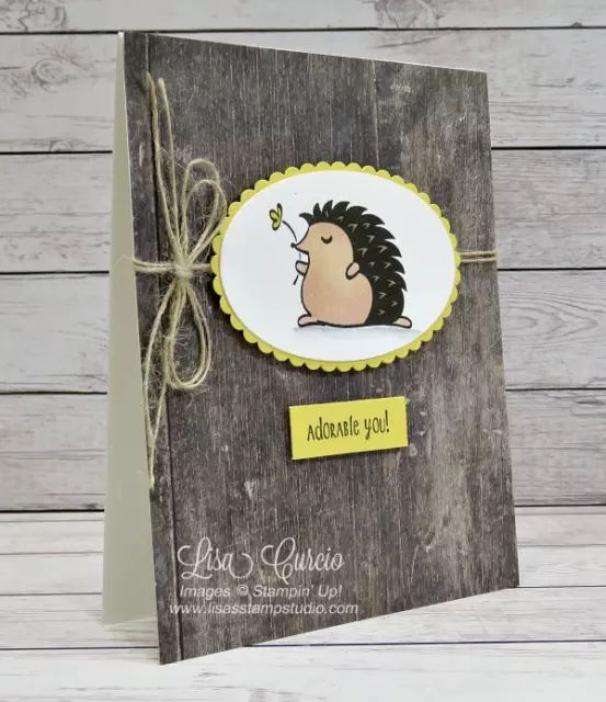 Video tutorial! This hedgehog defies the rules by using dye-based ink with Stampin' Blends. Lisa's Stamp Studio angled view