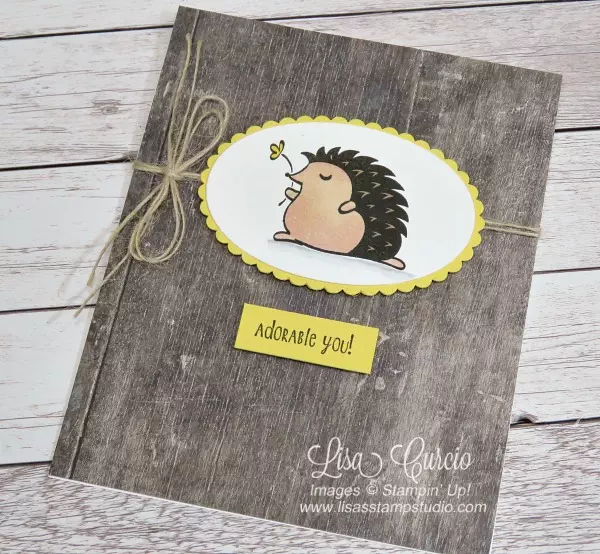 Video tutorial! This hedgehog defies the rules by using dye-based ink with Stampin' Blends. Lisa's Stamp Studio aerial view