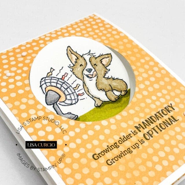 Pivot Card Tutorial Learn How to Use Die Cuts to Create a Fun Fold Pop Up & Pivot Card